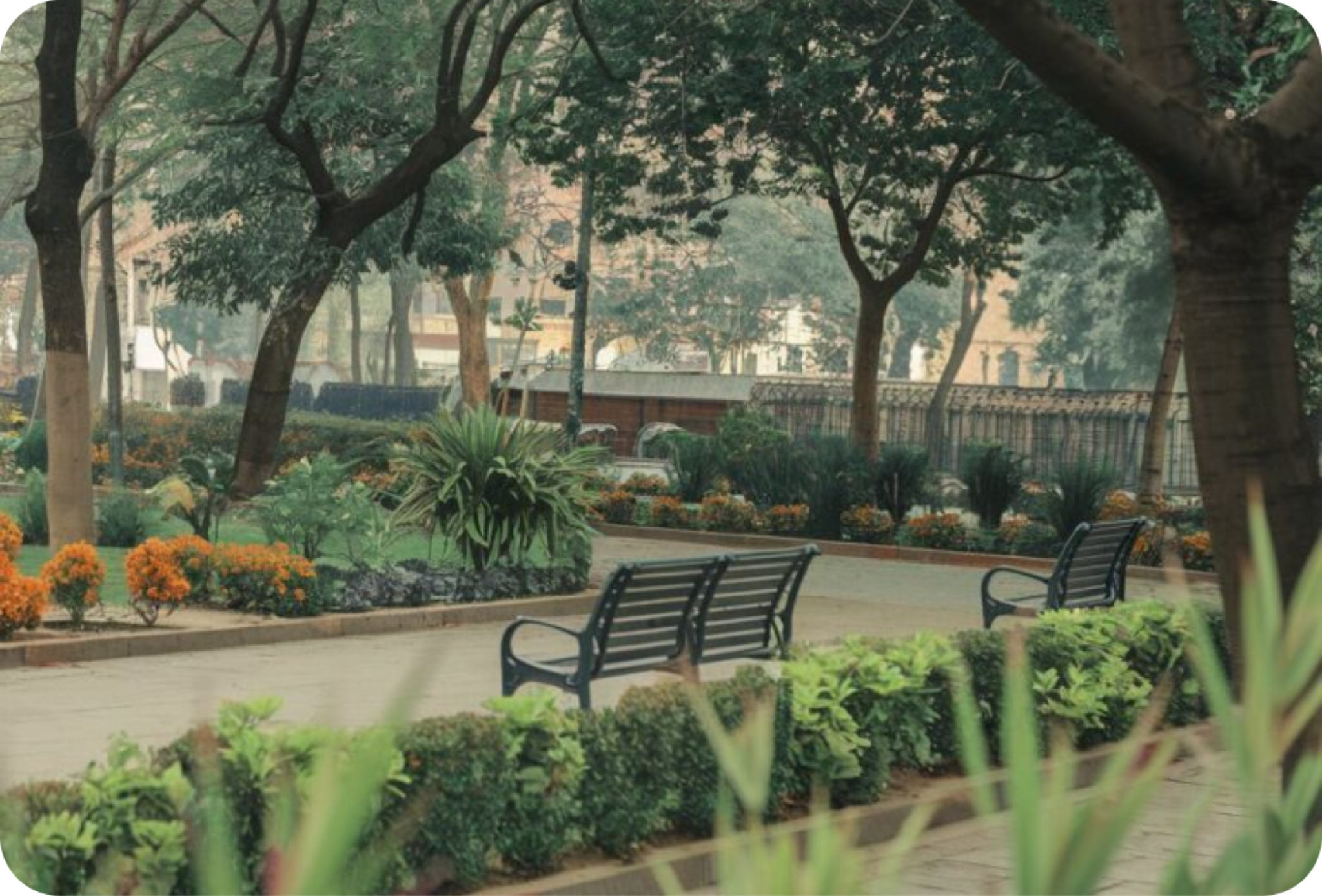 Commercial and Public Landscaping