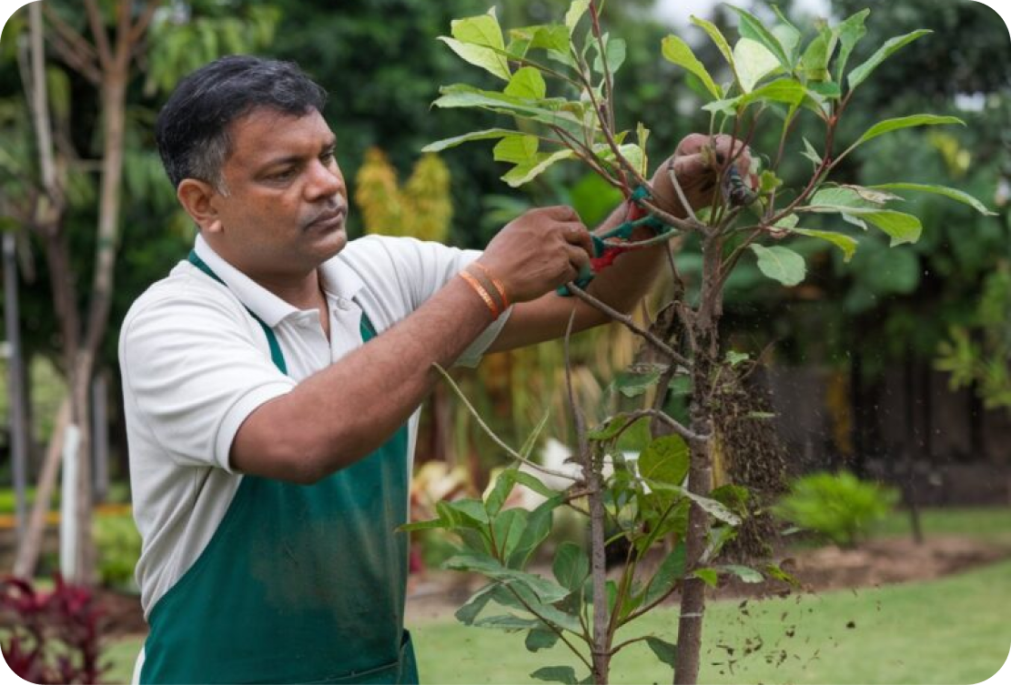 Seasonal Planting and Maintenance