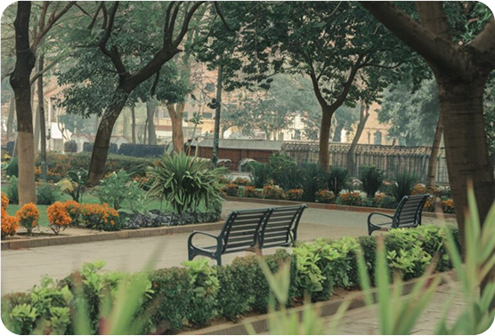 Commercial and Public Landscaping 